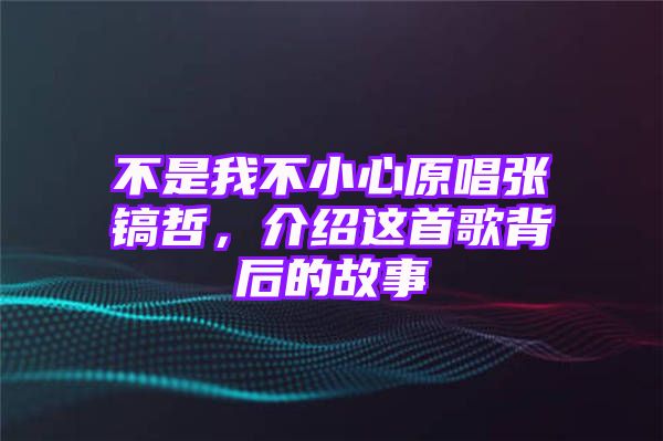 不是我不小心原唱张镐哲，介绍这首歌背后的故事