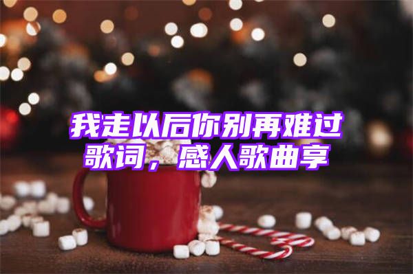 我走以后你别再难过歌词，感人歌曲享