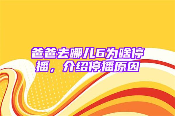 爸爸去哪儿6为啥停播，介绍停播原因