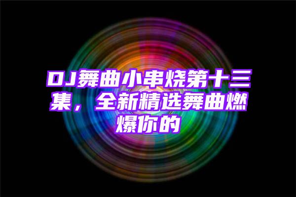 DJ舞曲小串烧第十三集，全新精选舞曲燃爆你的