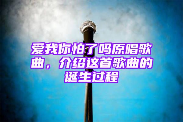 爱我你怕了吗原唱歌曲，介绍这首歌曲的诞生过程