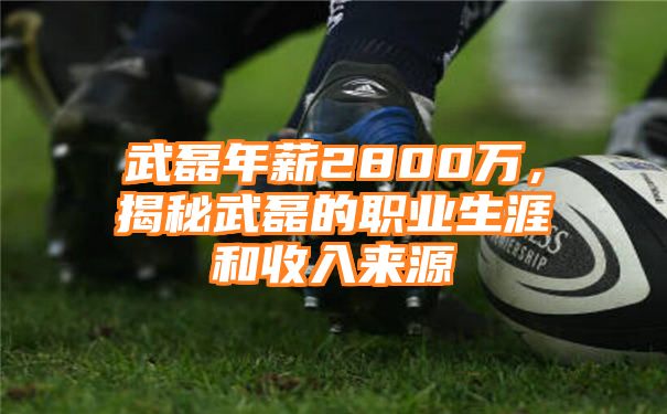 武磊年薪2800万，揭秘武磊的职业生涯和收入来源