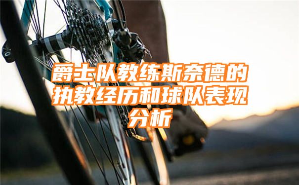 爵士队教练斯奈德的执教经历和球队表现分析