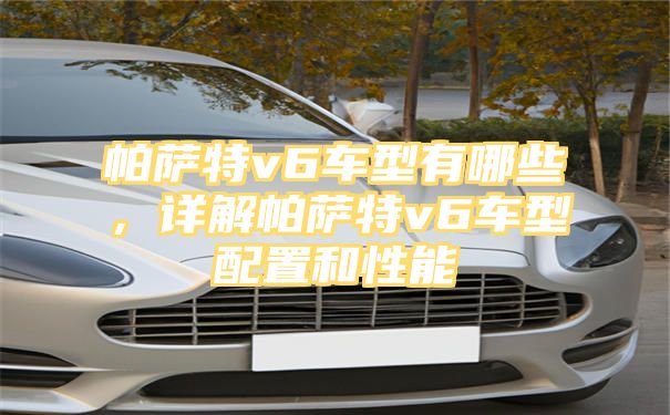 帕萨特v6车型有哪些，详解帕萨特v6车型配置和性能