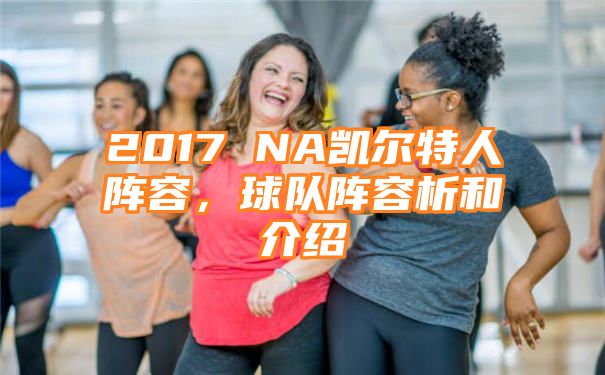 2017 NA凯尔特人阵容，球队阵容析和介绍