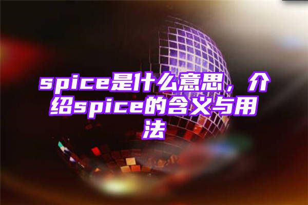 spice是什么意思，介绍spice的含义与用法