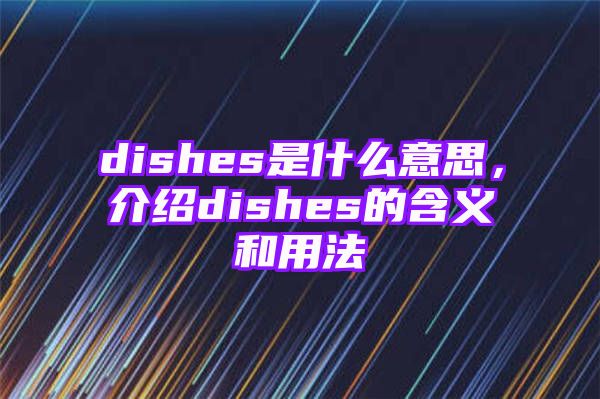 dishes是什么意思，介绍dishes的含义和用法