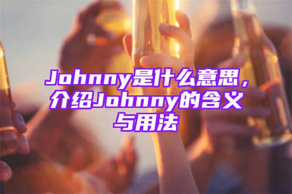 Johnny是什么意思，介绍Johnny的含义与用法