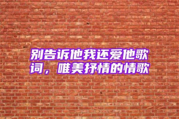 别告诉他我还爱他歌词，唯美抒情的情歌