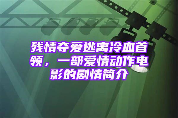 残情夺爱逃离冷血首领，一部爱情动作电影的剧情简介