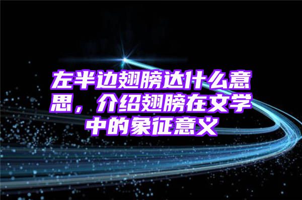 左半边翅膀达什么意思，介绍翅膀在文学中的象征意义