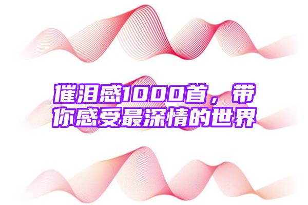 催泪感1000首，带你感受最深情的世界