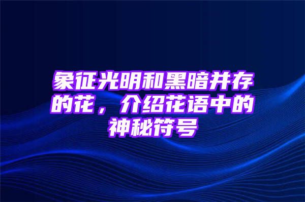 象征光明和黑暗并存的花，介绍花语中的神秘符号