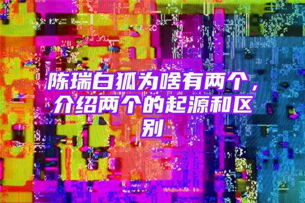 陈瑞白狐为啥有两个，介绍两个的起源和区别