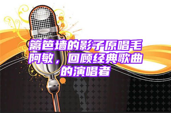 篱笆墙的影子原唱毛阿敏，回顾经典歌曲的演唱者