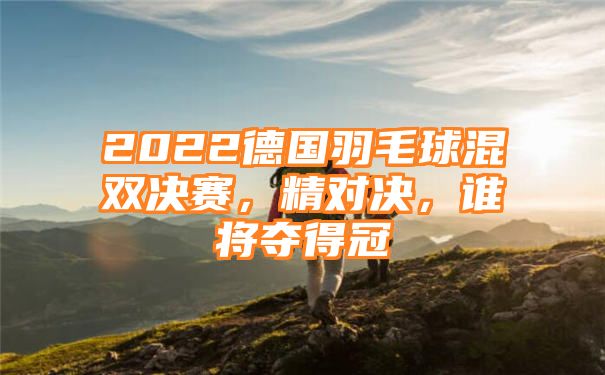 2022德国羽毛球混双决赛，精对决，谁将夺得冠