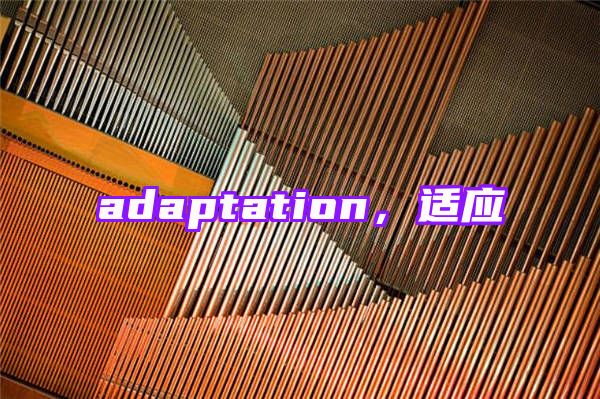 adaptation，适应