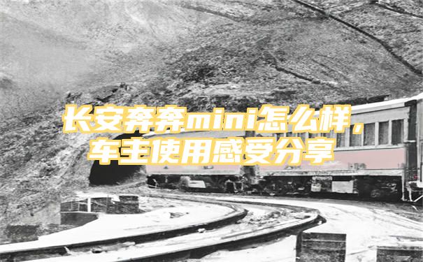 长安奔奔mini怎么样，车主使用感受分享