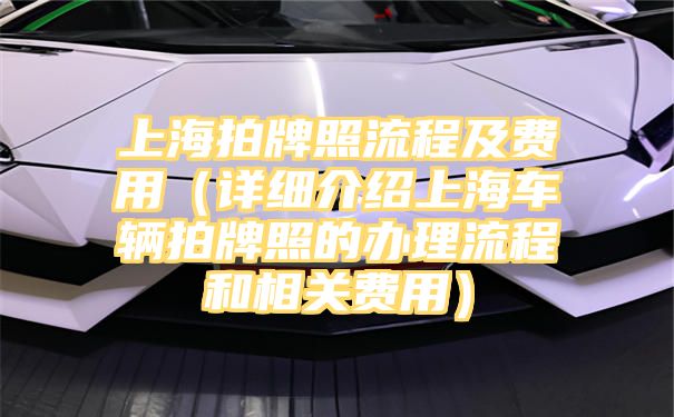 上海拍牌照流程及费用（详细介绍上海车辆拍牌照的办理流程和相关费用）