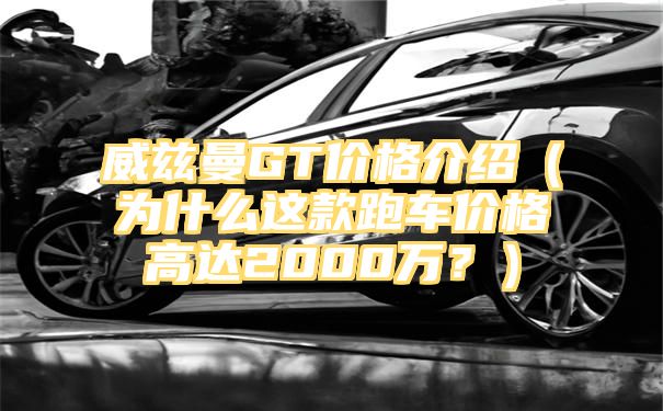 威兹曼GT价格介绍（为什么这款跑车价格高达2000万？）