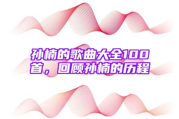 孙楠的歌曲大全100首，回顾孙楠的历程