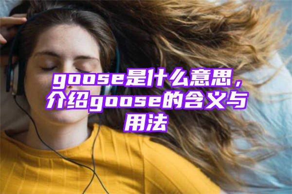 goose是什么意思，介绍goose的含义与用法