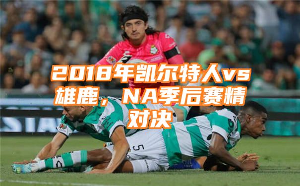 2018年凯尔特人vs雄鹿，NA季后赛精对决