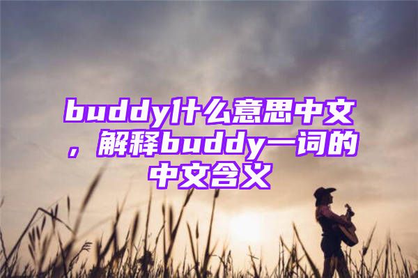 buddy什么意思中文，解释buddy一词的中文含义