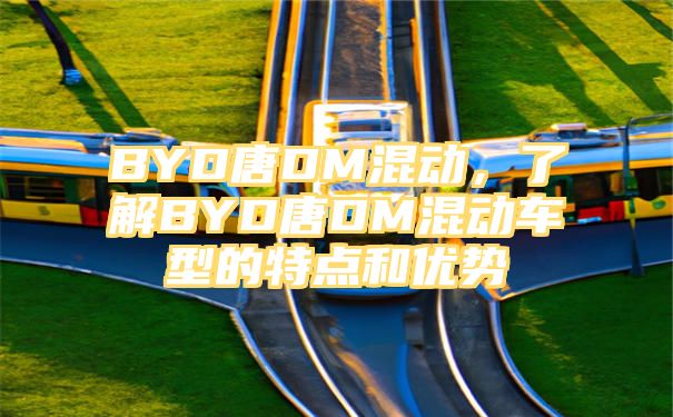 BYD唐DM混动，了解BYD唐DM混动车型的特点和优势