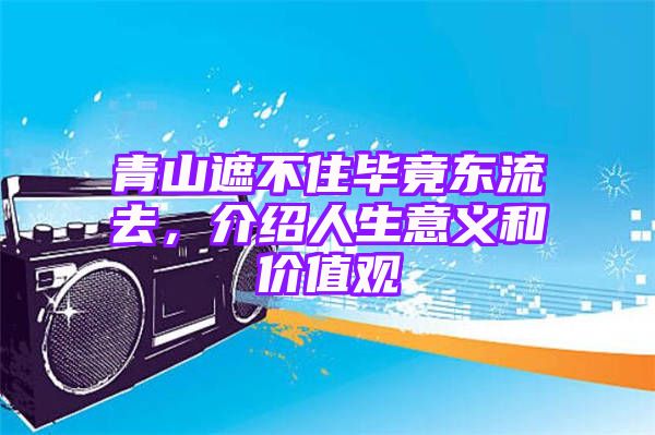 青山遮不住毕竟东流去，介绍人生意义和价值观