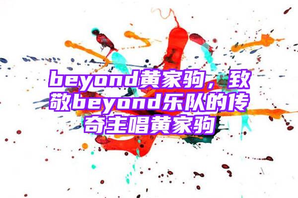 beyond黄家驹，致敬beyond乐队的传奇主唱黄家驹