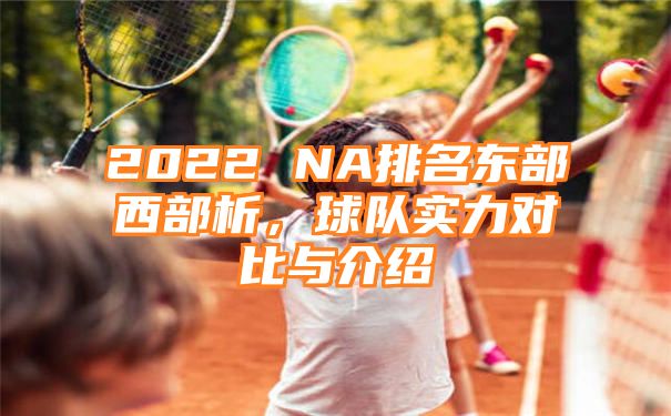 2022 NA排名东部西部析，球队实力对比与介绍