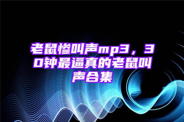 老鼠惨叫声mp3，30钟最逼真的老鼠叫声合集