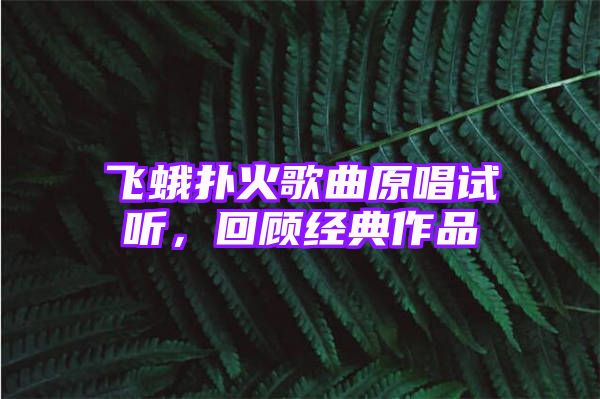 飞蛾扑火歌曲原唱试听，回顾经典作品