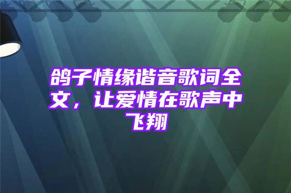 鸽子情缘谐音歌词全文，让爱情在歌声中飞翔