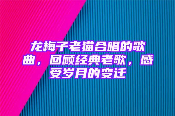 龙梅子老猫合唱的歌曲，回顾经典老歌，感受岁月的变迁