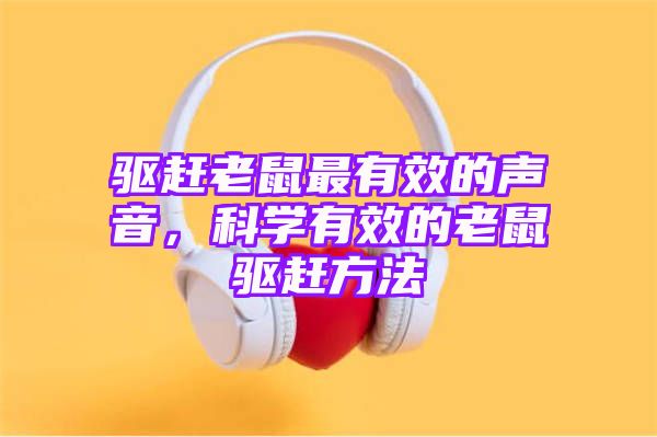 驱赶老鼠最有效的声音，科学有效的老鼠驱赶方法