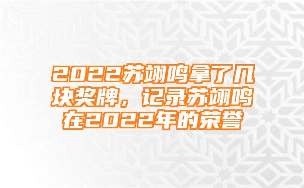 2022苏翊鸣拿了几块奖牌，记录苏翊鸣在2022年的荣誉