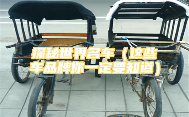 探秘世界名车（这些车品牌你一定要知道）