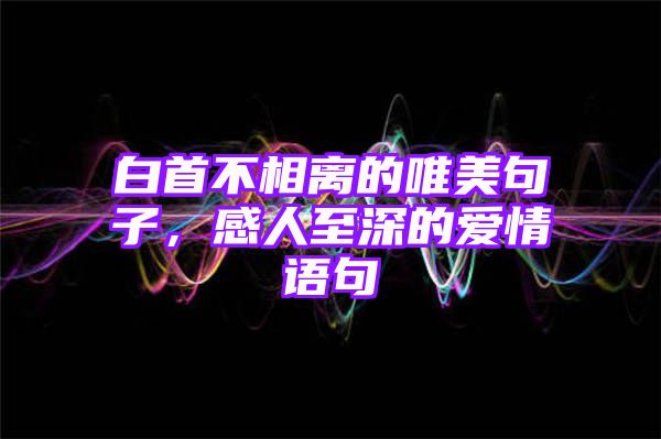 白首不相离的唯美句子，感人至深的爱情语句