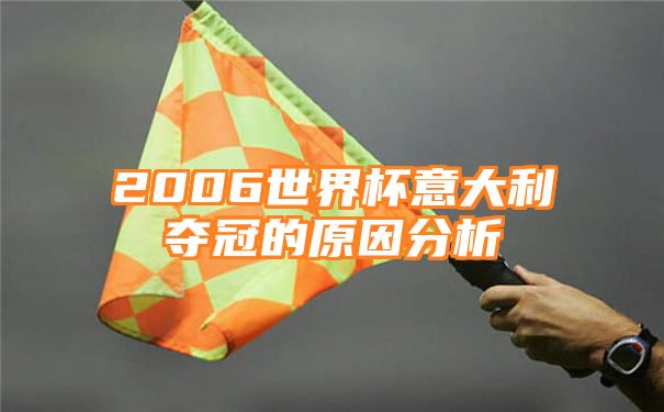 2006世界杯意大利夺冠的原因分析