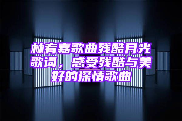 林宥嘉歌曲残酷月光歌词，感受残酷与美好的深情歌曲