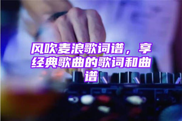 风吹麦浪歌词谱，享经典歌曲的歌词和曲谱