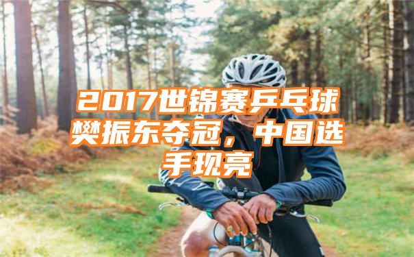 2017世锦赛乒乓球樊振东夺冠，中国选手现亮