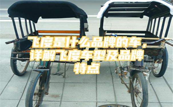 飞度是什么品牌的车，详解飞度车型及品牌特点