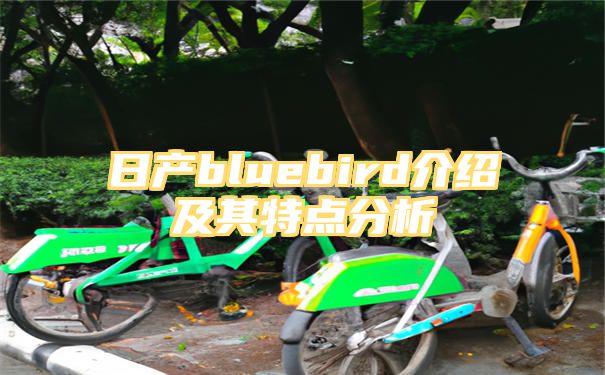 日产bluebird介绍及其特点分析