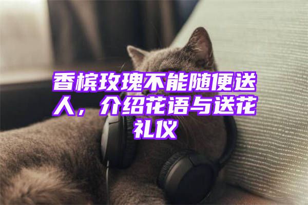 香槟玫瑰不能随便送人，介绍花语与送花礼仪