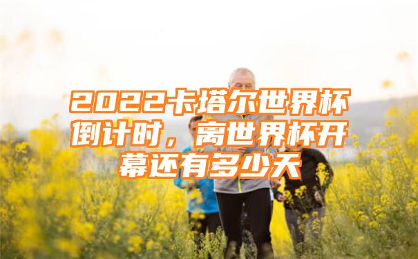 2022卡塔尔世界杯倒计时，离世界杯开幕还有多少天