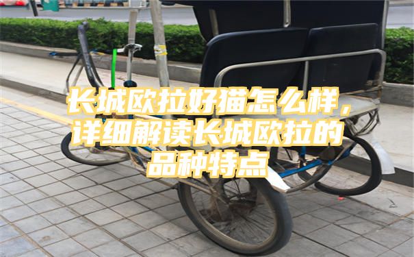 长城欧拉好猫怎么样，详细解读长城欧拉的品种特点