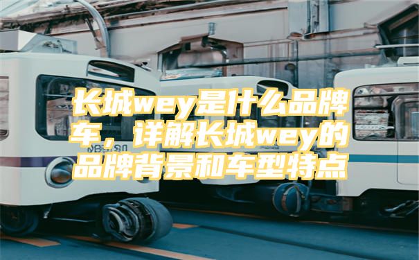 长城wey是什么品牌车，详解长城wey的品牌背景和车型特点